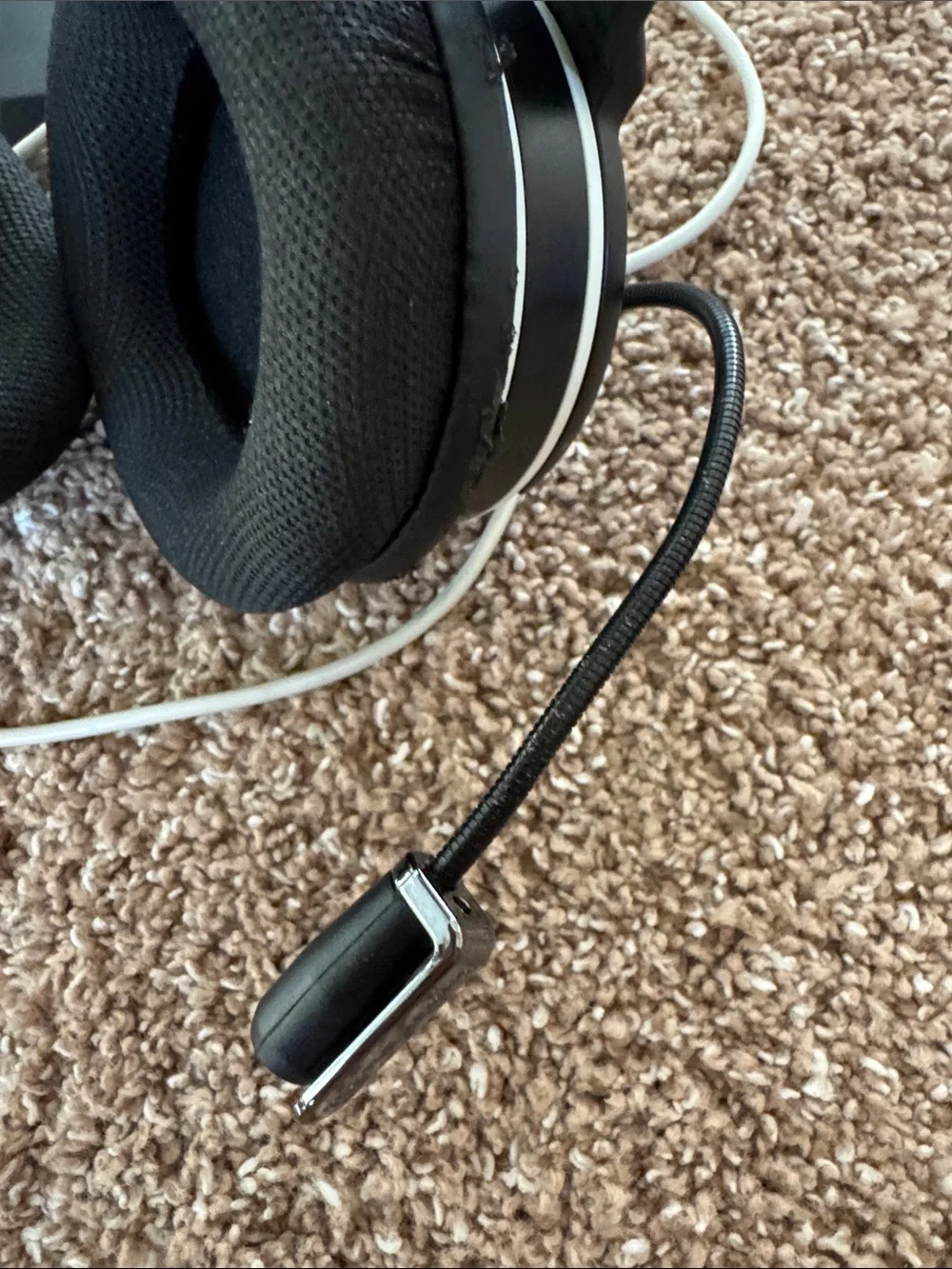 Turtle Beach this turtle
